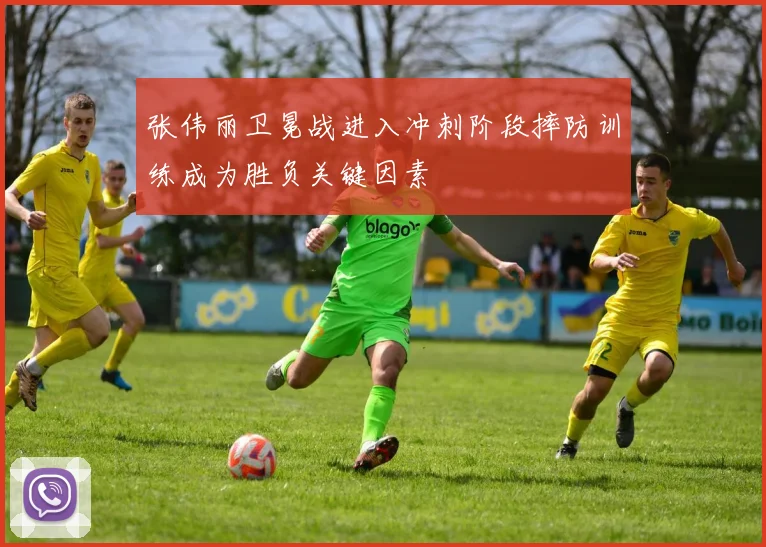 张伟丽卫冕战进入冲刺阶段摔防训练成为胜负关键因素